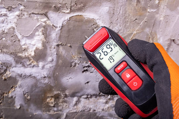 Best HVAC Mold Remediation in Holts Summit, MO